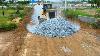 Incredible Project Make Foundation Road By Skills Dozer Pushing Stone Dump Trailer Unloading Stone