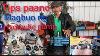 Tips Paano Magdis Assemble U0026 Assemble Ng Hydraulic Pump Ng Boom Truck